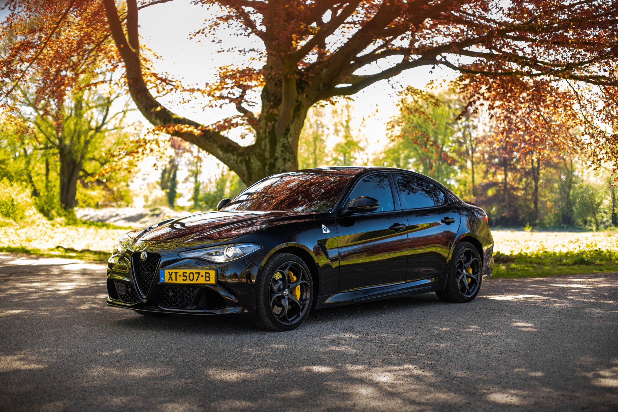 Alfa Romeo Giulia 2.9 V6 Quadrifoglio